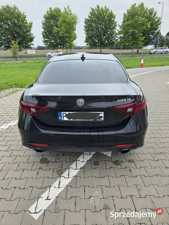 Alfa Romeo Giulia wielkopolskie Brączewo