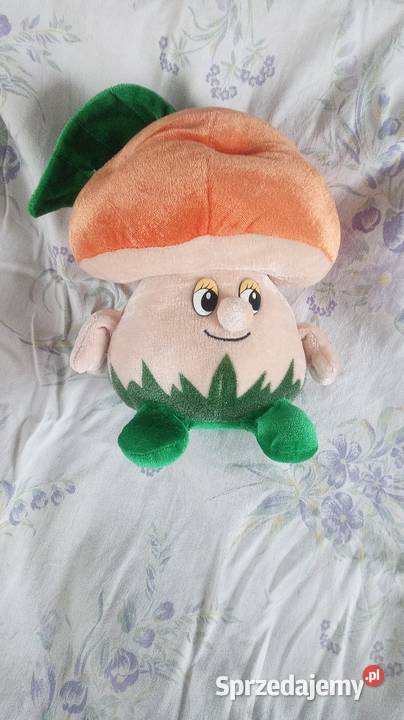 Pluszaki dzieci mazowieckie Warszawa