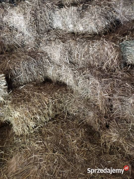 Słoma kostki tegoroczne Rzeszów