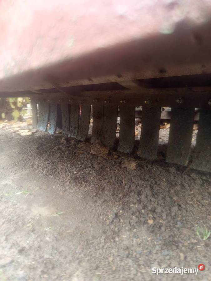 Ogławiarka niszczarka łęci Pozostałe lubelskie Dobryniów-Kolonia