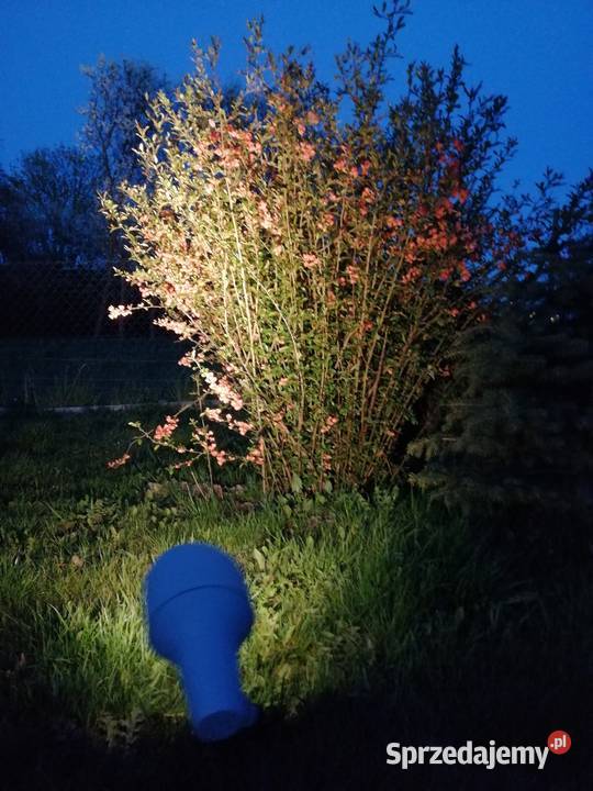 REFLEKTOR PODŚWIETLENIE