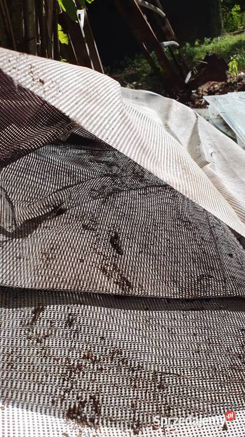 Agrotkanina agrowłóknina mata antychwastowa 100 Warszawa