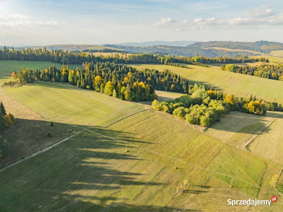 Działka budowlana Łapsze Niżne 2000m2
