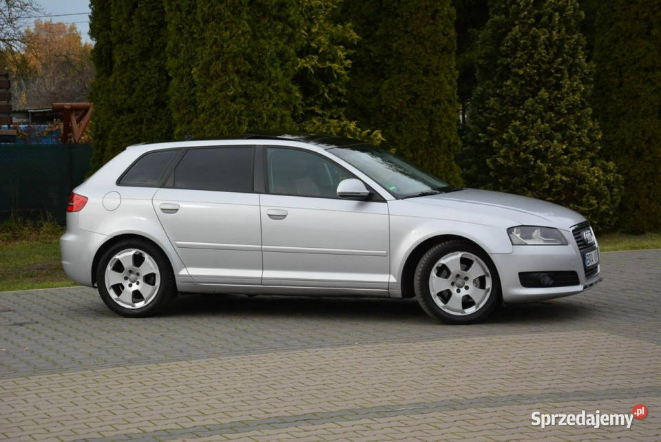 Audi A3 Lift DSG Panorama Skóry Duża Navi DRL szyberdach Ostrów Mazowiecka sprzedam