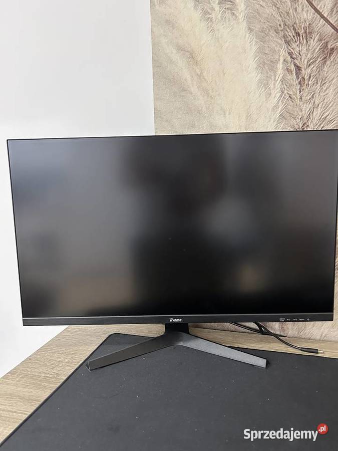 Monitor IIyama 2560 x 1440p Poznań
