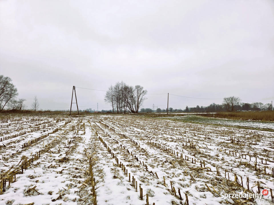 sprzedaży działki 2341m2 Spytkowice Górki