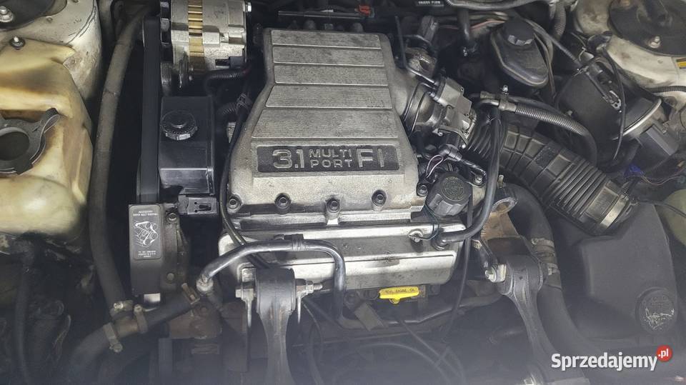 Chevrolet lumina 31 V6 6cio osobowa automatyczna 3100cm3 Hajnówka sprzedam