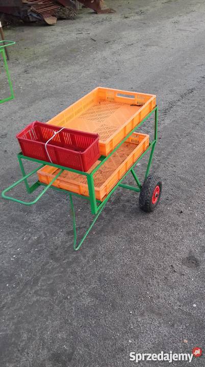 Wózki do zbioru Malin Truskawek Borówek OKAZJA Lubartów