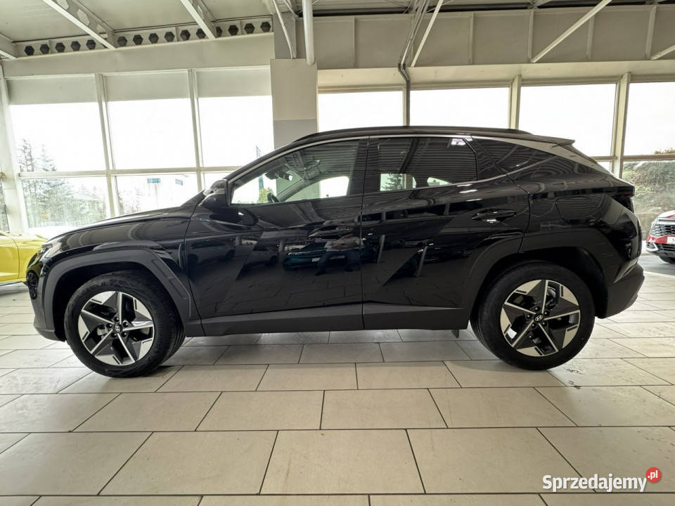 Hyundai Tucson Executive 16 TGDI 7DCT 150 możliwa zamiana Giżycko