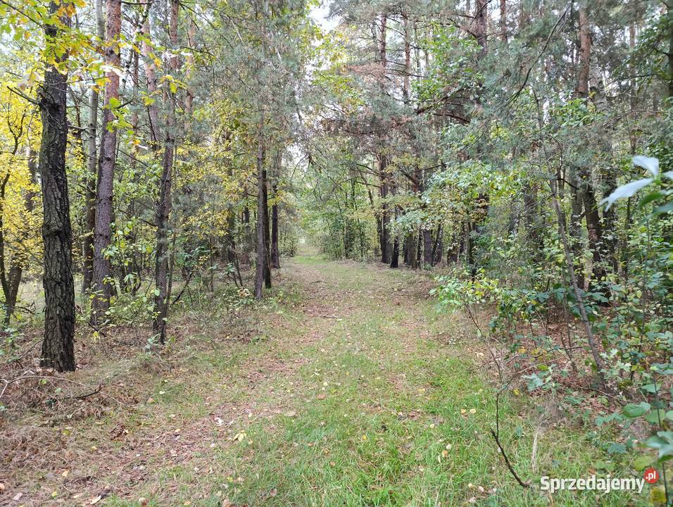 Działka budowlana pod osiedle 29400m2 Piaski gm śląskie