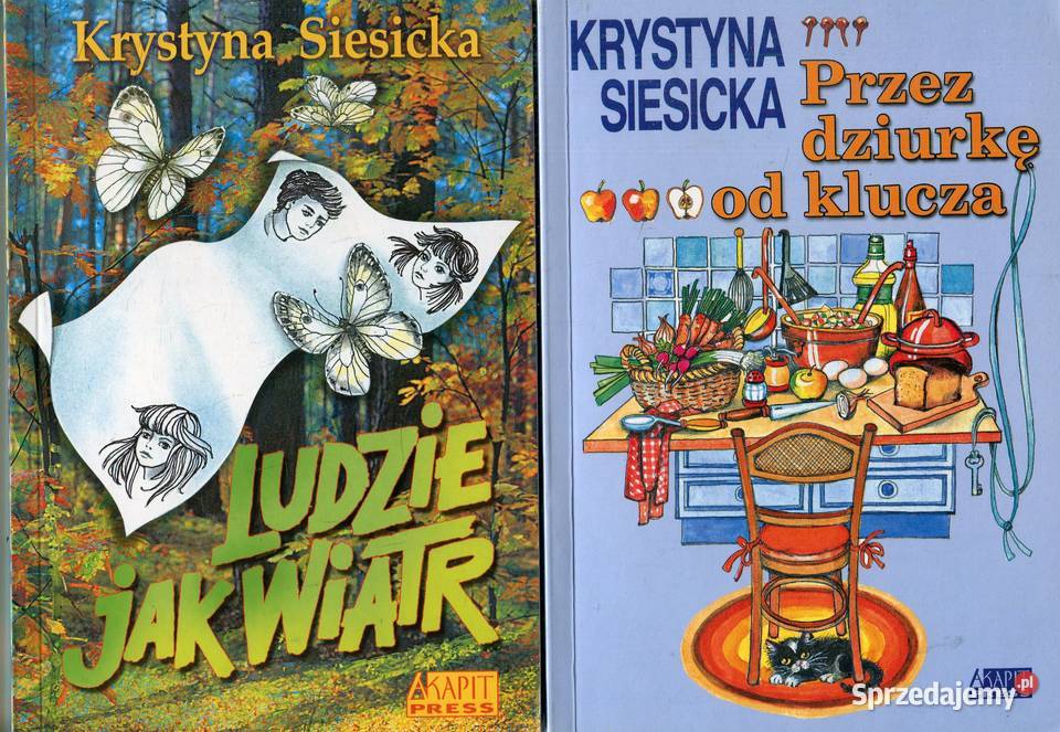 Ludzie wiatr dziurkę klucza Krystyna Siesicka miękka Szczecin
