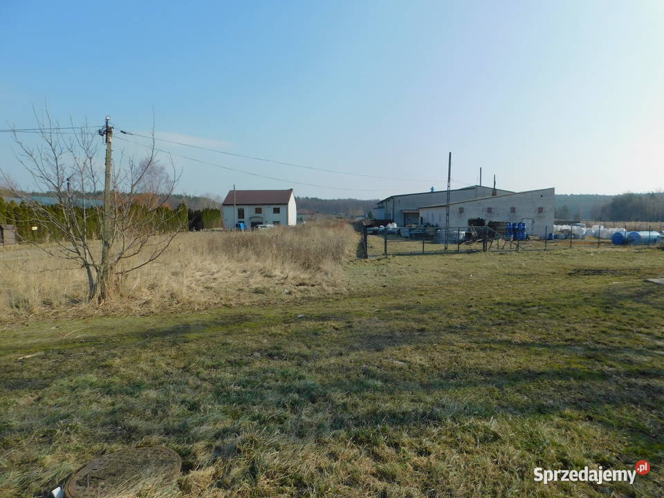 Syndyk sprzeda Mogielnica dz 16532 sprzedam