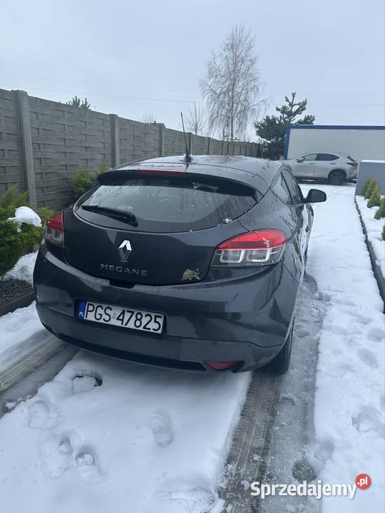Renault Megane III Coupe benzyna+LPG wielkopolskie Leszno
