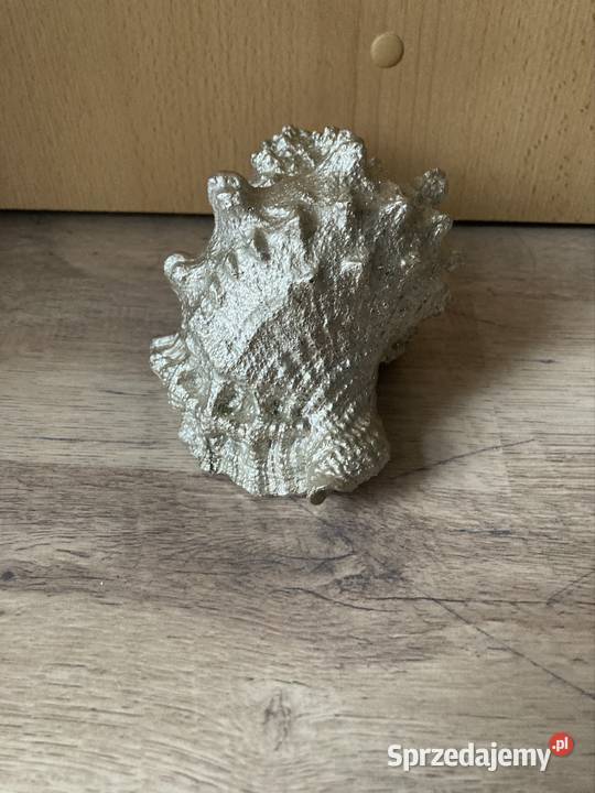 Figurka ozdobna srebrna muszla mazowieckie Warszawa