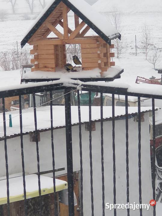 Karmnik ptaków Jawor sprzedam