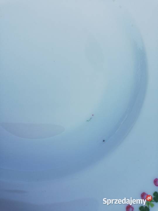 talerze obiadowe małopolskie Ropa