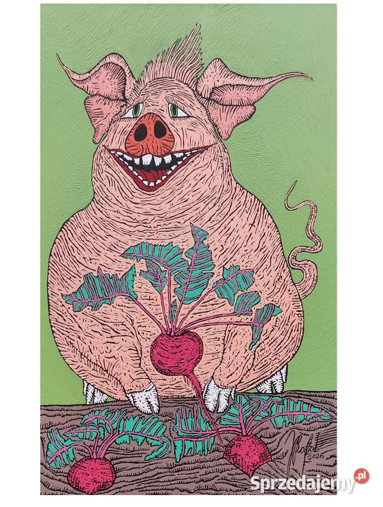 świnia buraczana Gorliczyna