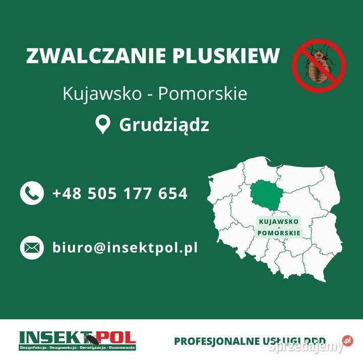 Zwalczanie pluskiew Grudziądz Odpluskwianie