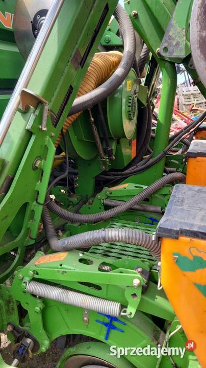 Siewnik kukurydzy Amazone ED 602K talerzowy 8