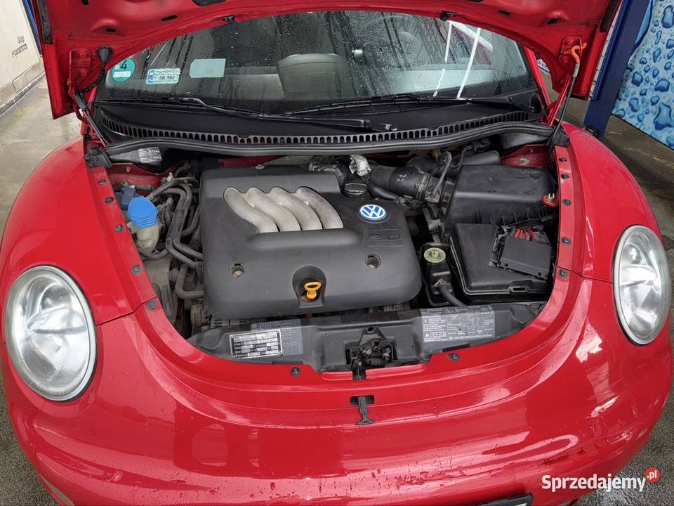 Sprzedam beetle dolnośląskie Pieńsk