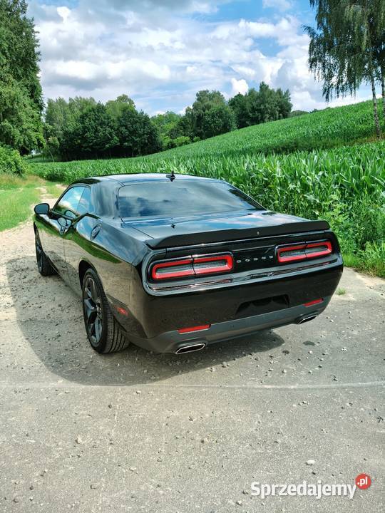 Dodge Challenger SXT PLUS 36 V6 BLACK TOP 2019r