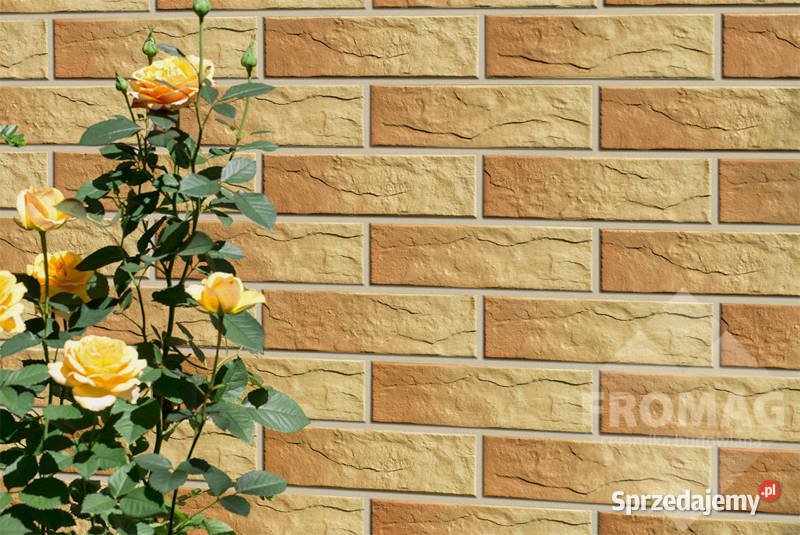 Cerrad elewacja stalowa grafit 245x65 Warszawa