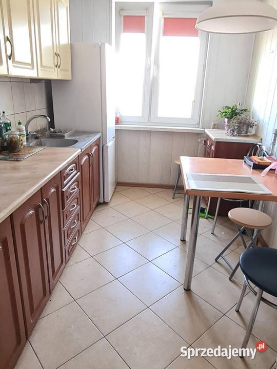 Mieszkanie 4630 m Ostrowiec świętokrzyski 5508zł/m2 świętokrzyskie Ostrowiec Świętokrzyski