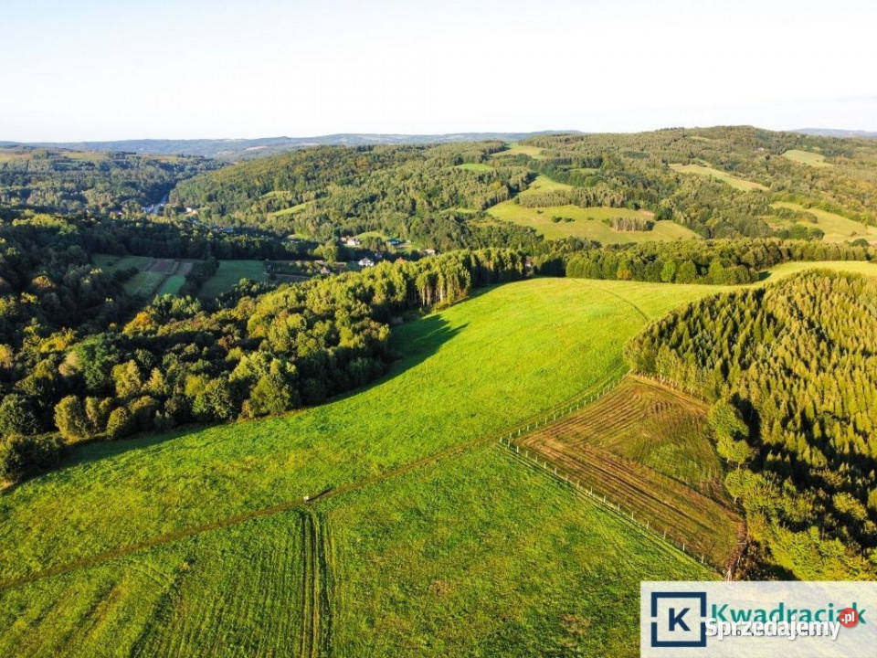 Grunt sprzedam Lutcza 44800m