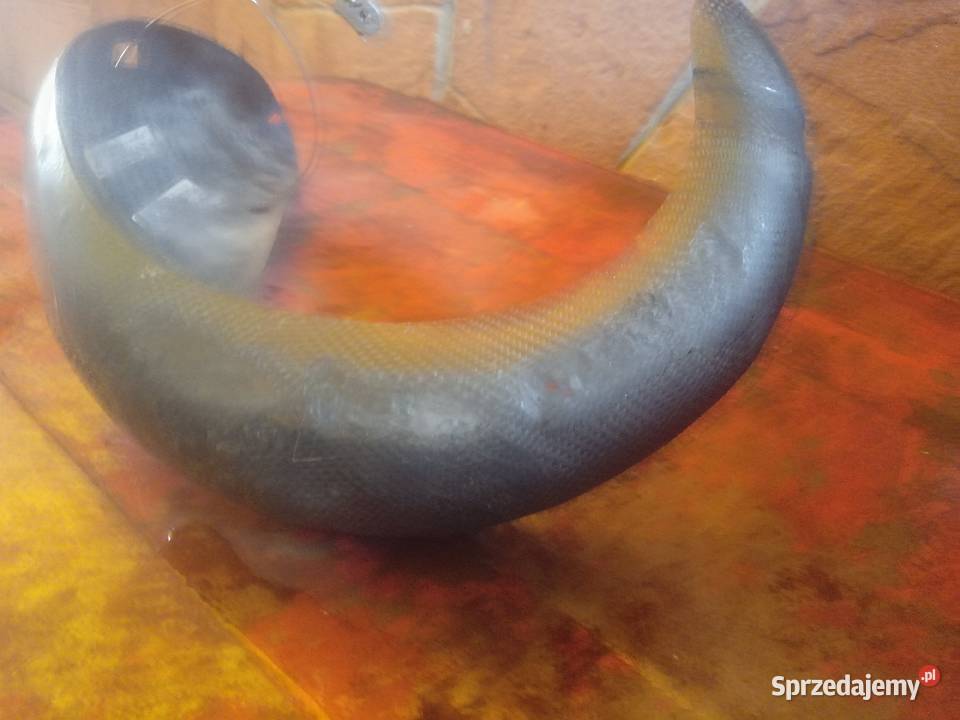 Osłona dyfuzora carbonowa KTM EXC 125 17 Kielce sprzedam