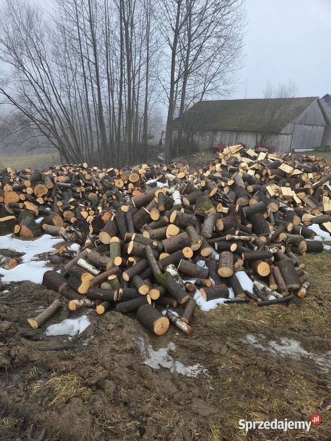 Drewno opałowe grab brzoza osika Bistuszowa
