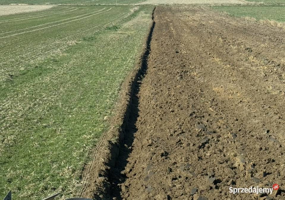 Overum Xcelsior BV 4 skibowy obrotowy Pozostałe