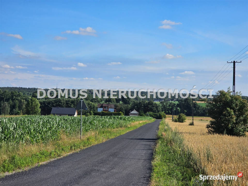 sprzedaży działki 1500m2 Tworzyjanki