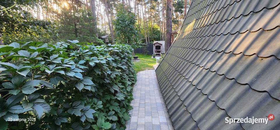 Domek Letniskowy Jeziorem Nyskim 9063zł/m2 sprzedam