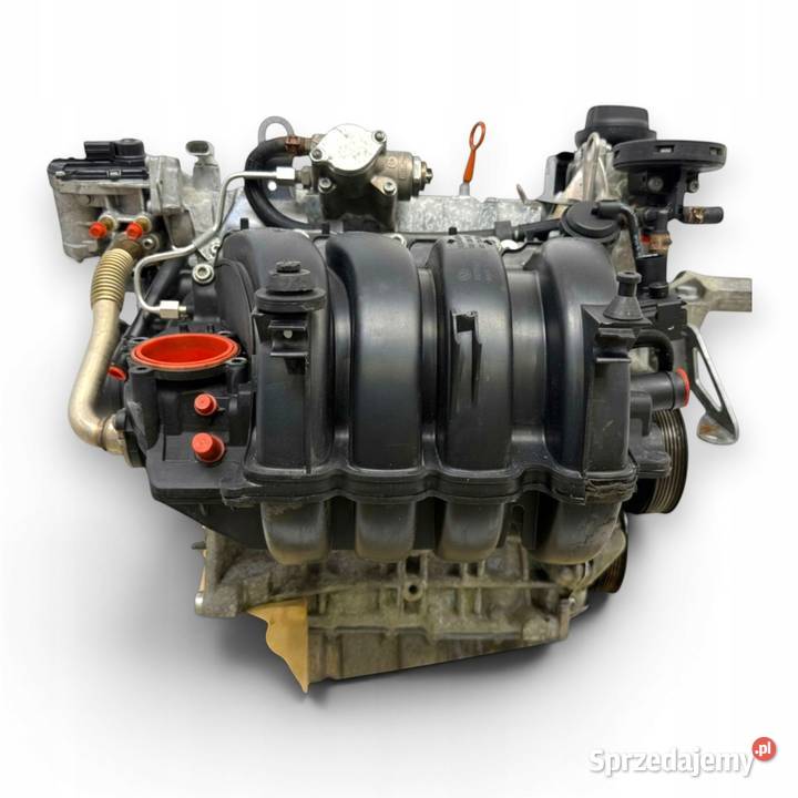 SILNIK BLF Audi A3 II 8P Skoda Octavia II 16 FSI Chełm