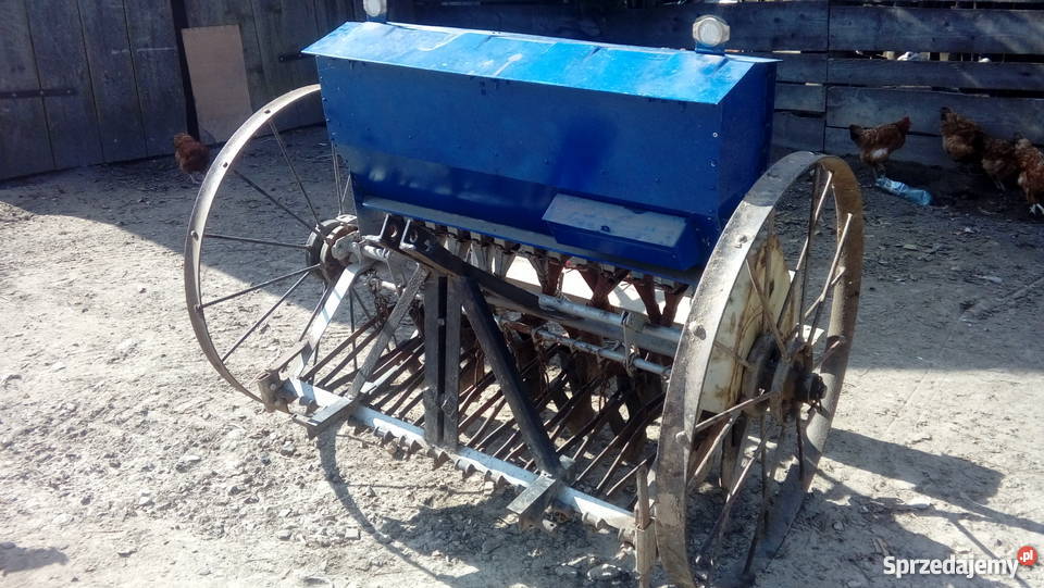 Sprzedam siewnik konny 13 lejowy Sadzenie/siewniki sprzedam
