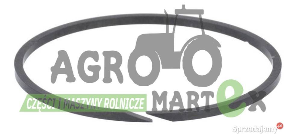 5175996 5156249 ELEMENT USTALAJĄCY CNH