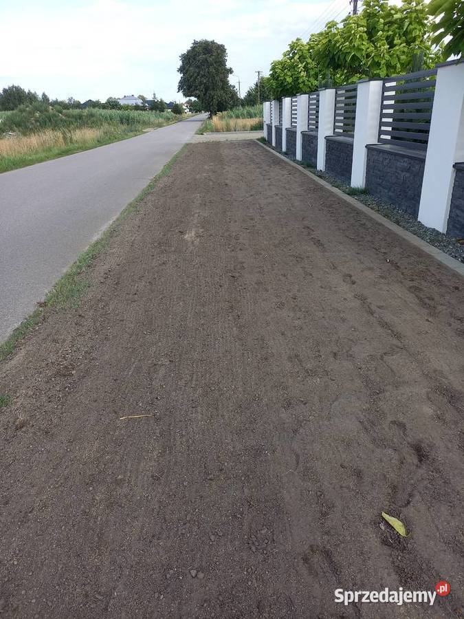 Zakładanie trawnika siew trawy mikrokoniczyny