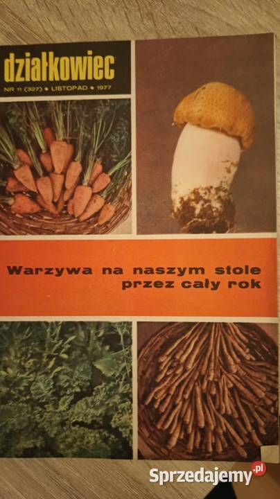 Działkowiec czasopismo PRL Jędrzejów