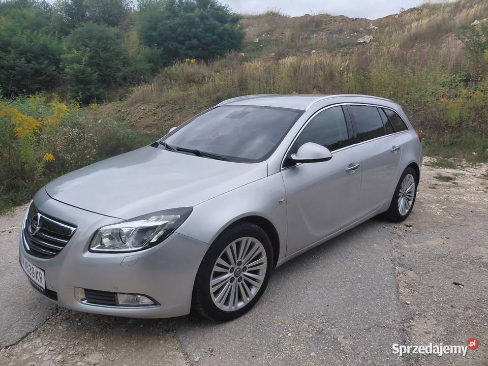 Opel Insignia Sports Tourer kurtyny powietrzne Chmielnik