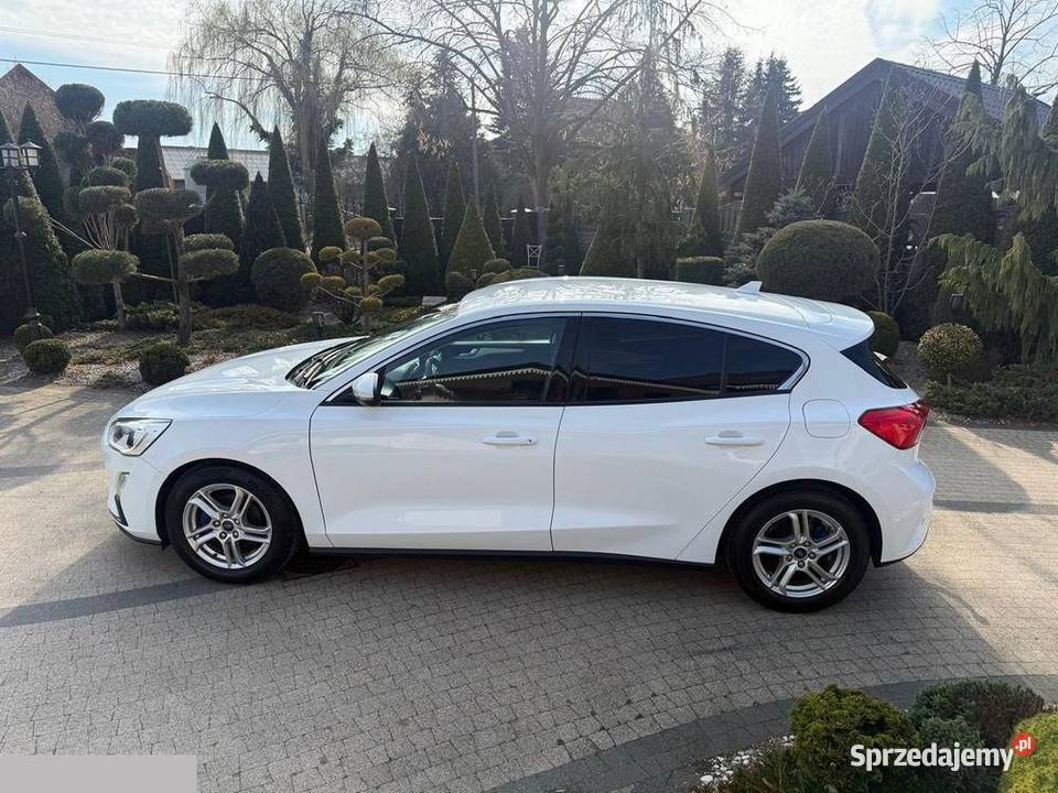 Ford Focus 15 EcoBlue StartStoppSystem ACTIVE Focus Krotoszyn