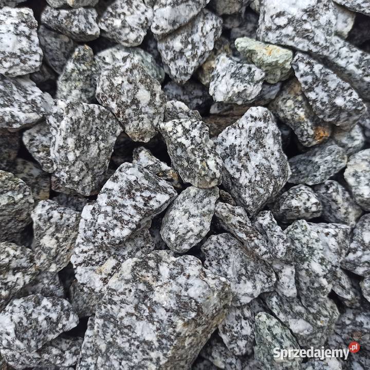 Grys Granitowy Dalmatian Kora Kamienna Janowicki Chrzanów