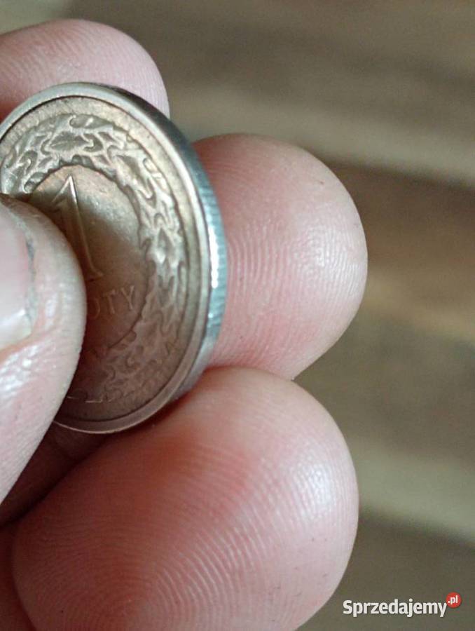 Sprzedam 1 zloty 1990 Numizmatyka Chełm