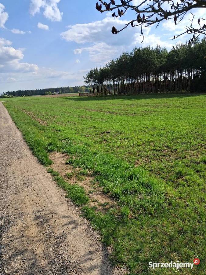 SPRZEDAM DZIAŁKĘ Radzyń Podlaski
