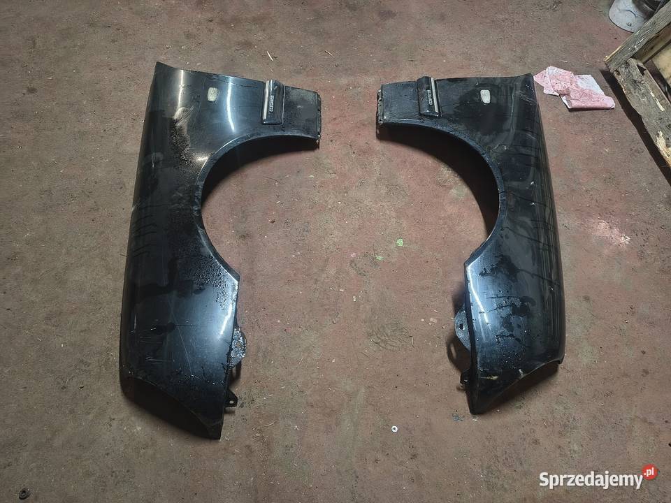 Błotniki w 210 Paniówki sprzedam