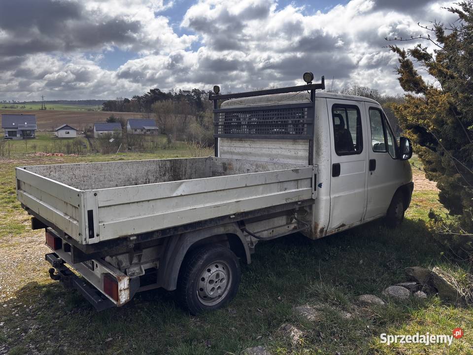 Bus Peugeot Boxer biały Międzyrzecz