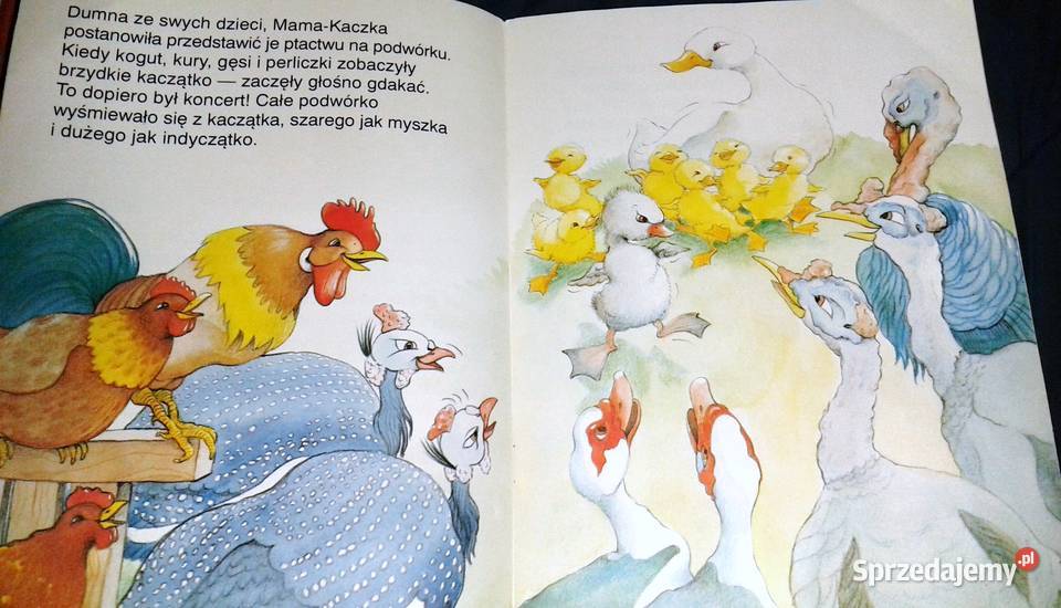 Brzydkie kaczatko Bajki na dobranoc Agnes lubelskie Chełm