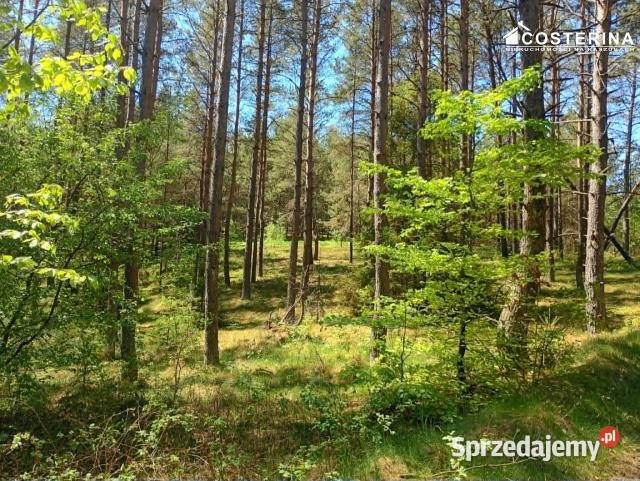 Działka 145300m2 Gostomie pomorskie