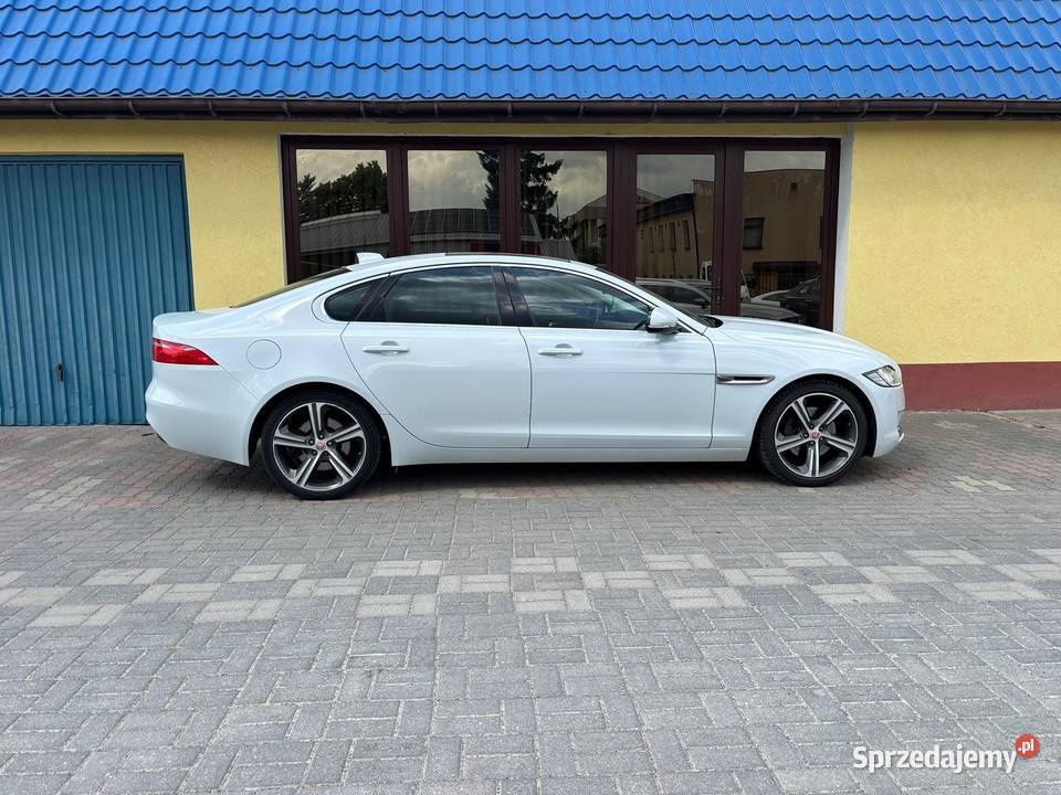 Jaguar XF 20d 2015r Biała Perła OKAZJA lubelskie Zamość