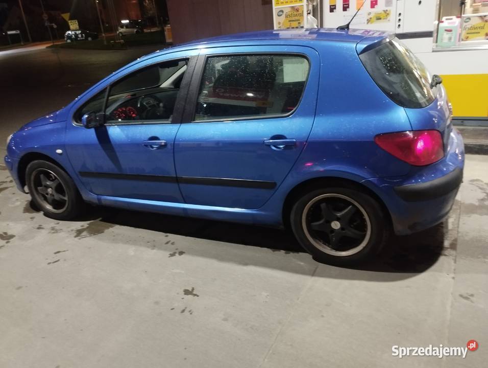 Sprzedam Peugeota 307 z roku 2002 manualna Nowa Wieś Podgórna