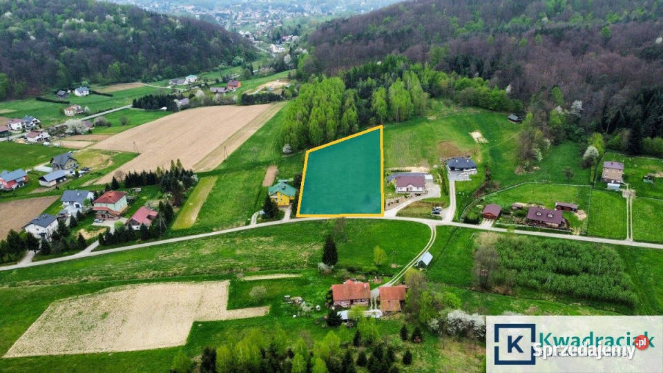 Grunt sprzedam Grabownica Starzeńska 4100m2 podkarpackie